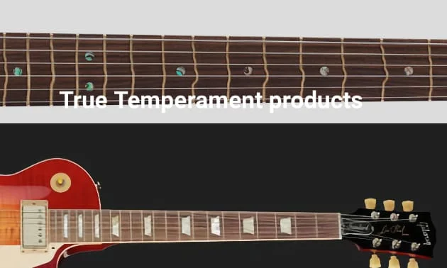 absolutes gehoer.webp