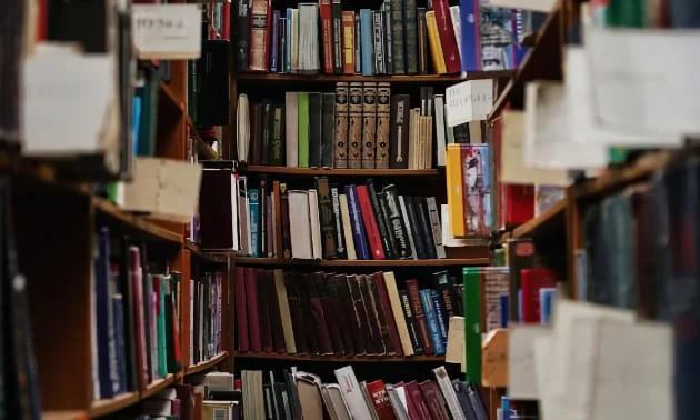 Romane rund um die Musik