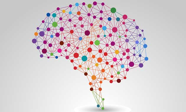 Brain.jpg
