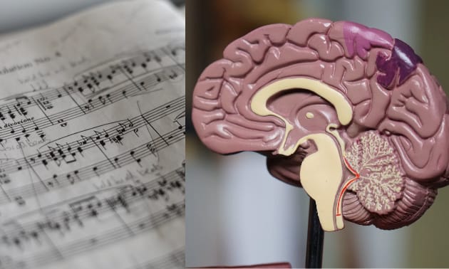 Brain_Vs_Notes.jpg