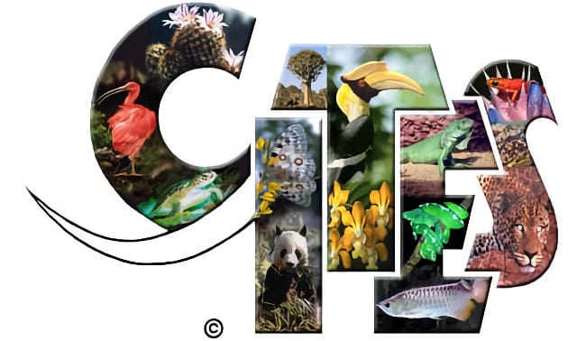 cites.jpg
