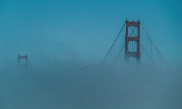 Nicht nur ein Winterthema - Luftfeuchtigkeit