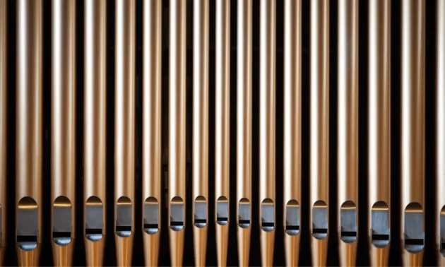 Orgelbau