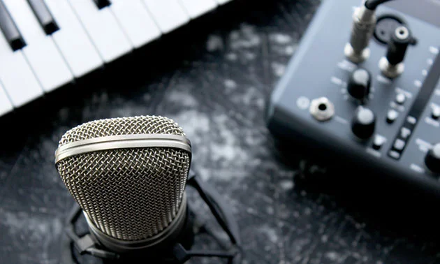  [COLOR=#39484e][U]Mikrofonierung[/U][/COLOR] von Flügeln