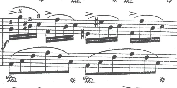 chopin.webp chopin.webp