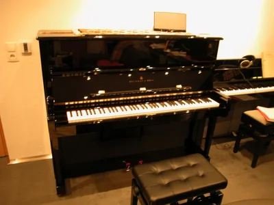 Steinway 8.webp