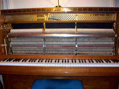 Mechanik komplett.webp