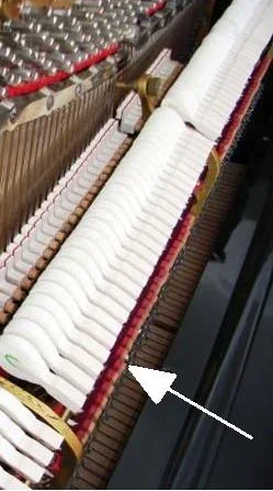 fänger.webp fänger.webp