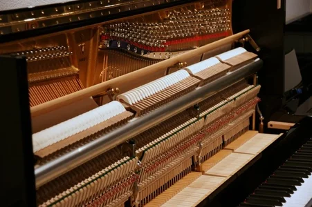 DSC02718 Moderator verkleinert.webp