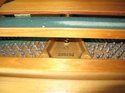 web klein IMG_2729.webp