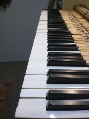 fertig poliert2.webp