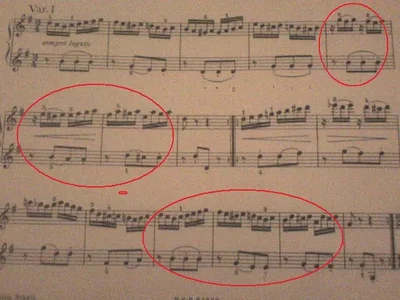 Weber 4-händig Primo.webp