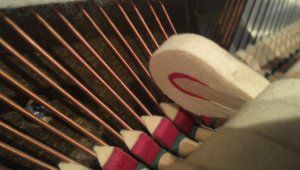 IMG_20160205_180721_106.jpg IMG_20160205_180721_106.jpg