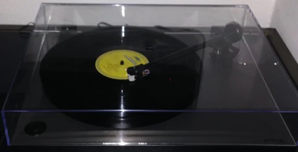 image.webp image.webp