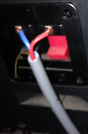 image.webp image.webp