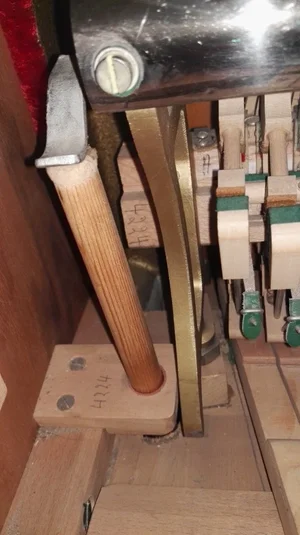 IMG_20160317_223150.webp IMG_20160317_223150.webp