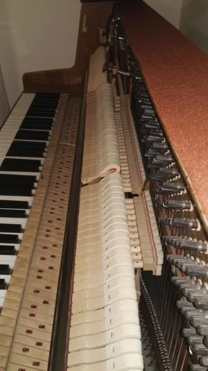 IMG_20160317_223013.webp IMG_20160317_223013.webp