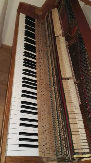 IMG_20160317_223043.webp IMG_20160317_223043.webp