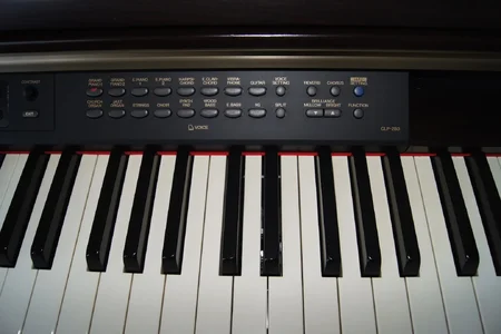 DSC00016.webp DSC00016.webp