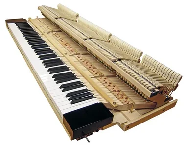 steinbuhler.webp steinbuhler.webp