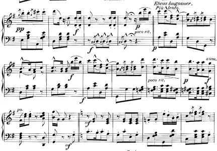 für saugferkel.webp