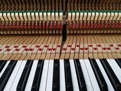 Kawai CE-7 Klaviatur.webp