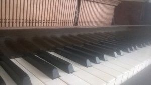 IMG-20160705-WA0001.jpg