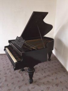 p5.JPG