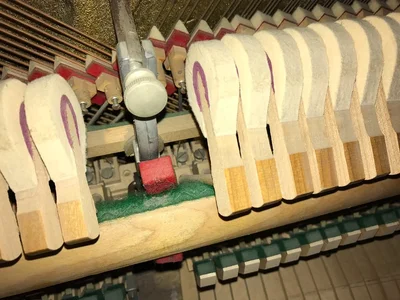 IMG_0255.webp IMG_0255.webp