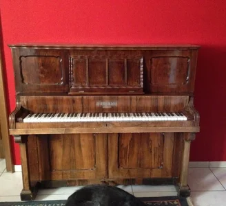 1482837622203.webp 1482837622203.webp