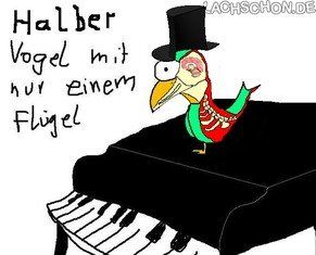 77073_halber_vogel-medium.jpg