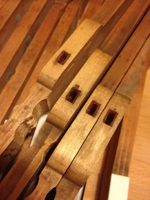 IMG_0120.webp IMG_0120.webp