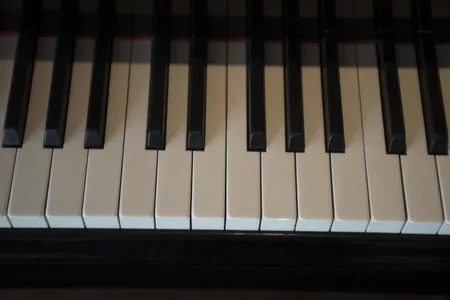 _DSC6710.webp _DSC6710.webp