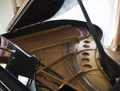 _DSC6709.webp _DSC6709.webp