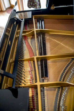 _DSC6705.webp _DSC6705.webp