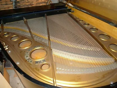 0001Wiener Flügel Heinisch Modell 3.webp