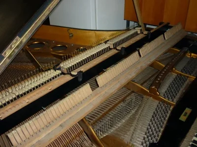 0007Wiener Flügel Heinisch Modell 3.webp