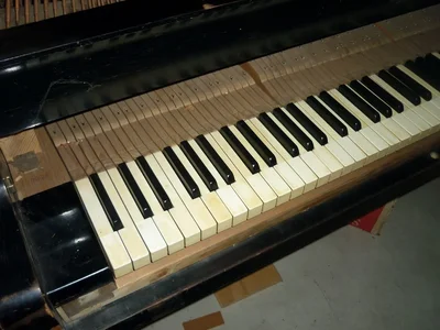 0012Wiener Flügel Heinisch Modell 3.webp