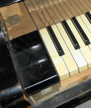 0015Wiener Flügel Heinisch Modell 3.webp