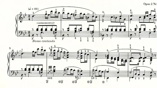 Compr_IMG.webp Compr_IMG.webp