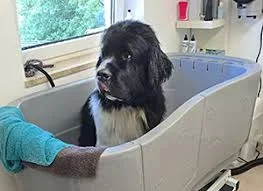 upload_2017-12-16_16-1-46.webp upload_2017-12-16_16-1-46.webp