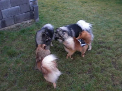 2010-06-17 04.46.31.webp