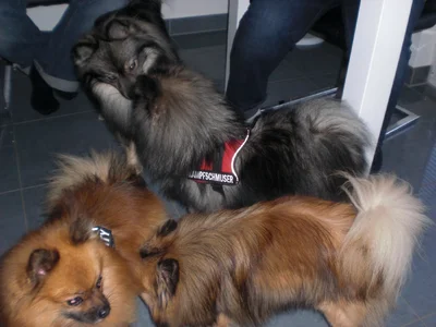 2010-06-17 05.41.06.webp