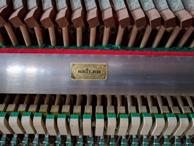 IMG_20171105_145145 (1024x768).webp