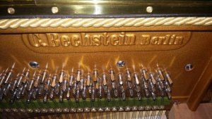 Bechstein.jpg