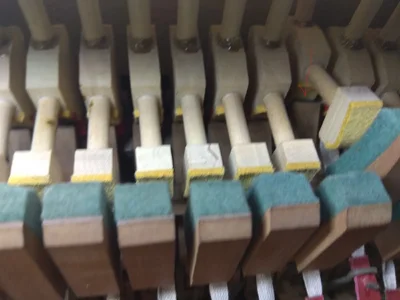 15._LI.webp 15._LI.webp