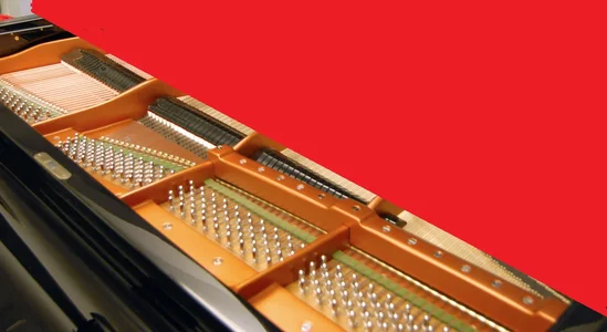 schnitt.webp schnitt.webp