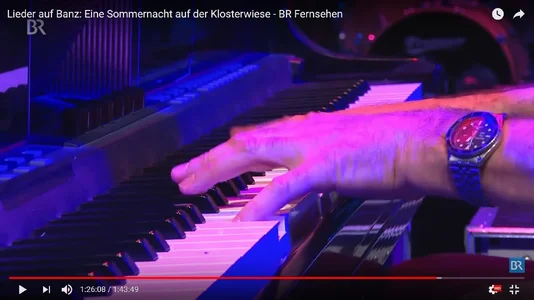 #Piano von Jo Barnikel Bild 06 Detail 3 (Pianist von Konstantin Wecker).webp