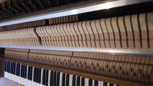 20180617_194416.webp 20180617_194416.webp