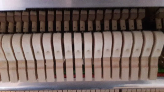 20180617_194505.webp 20180617_194505.webp